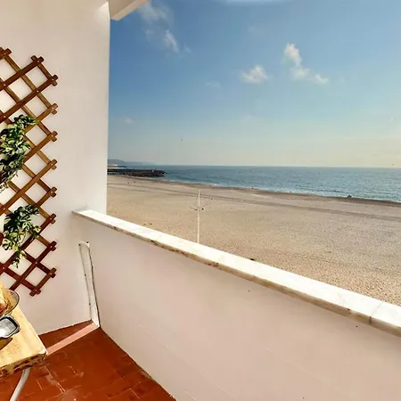 Palmar Ocean View Apartment